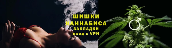 амф Аркадак
