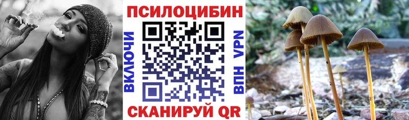 Галлюциногенные грибы Magic Shrooms  Кизел 